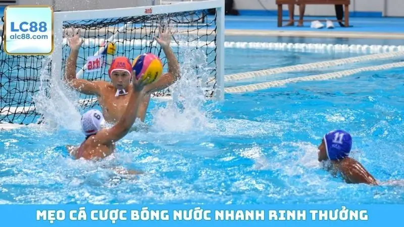 Mẹo cá cược bóng nước nhanh rinh thưởng